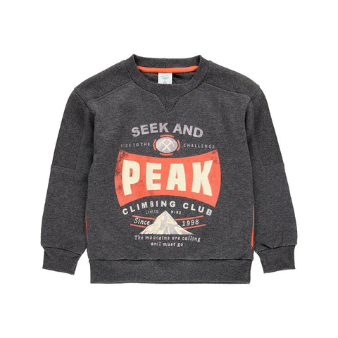 Sweat-shirt en molleton avec bandes pour garçon