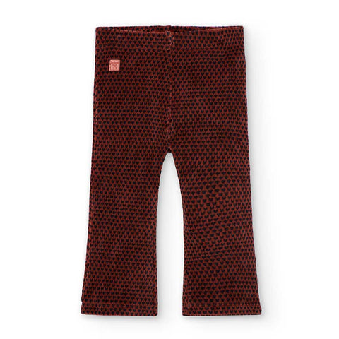 Leggings point for girl -BCI