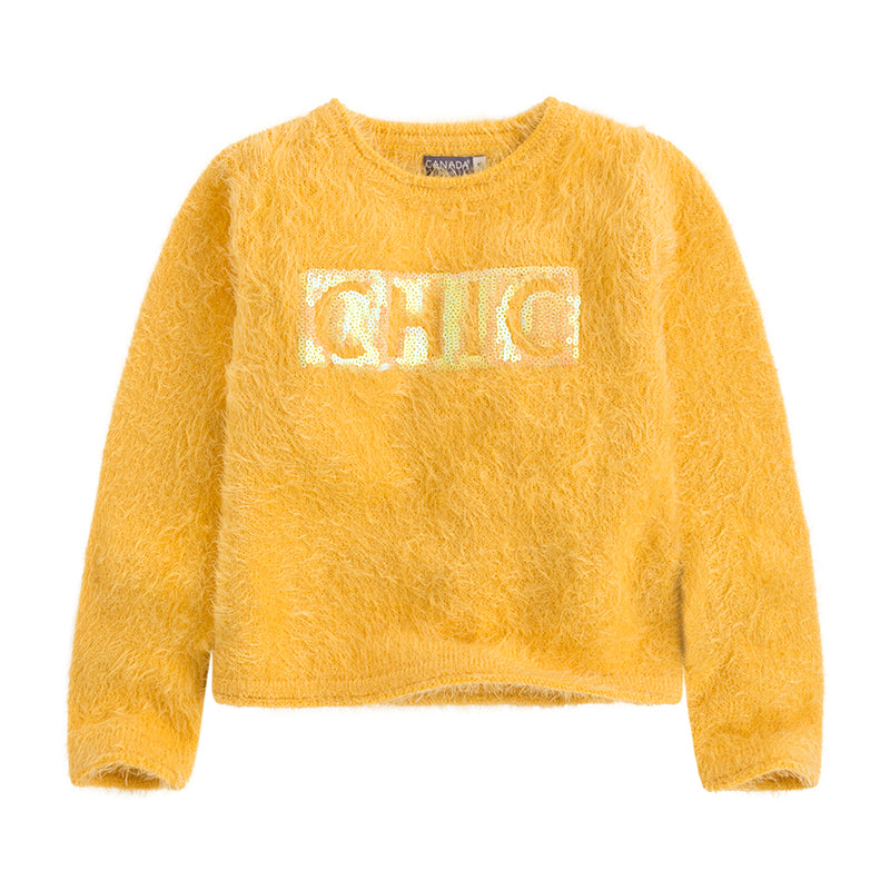 Maglione della linea Abbigliamento Bambina Canada House con scollo rotondo e applicazione
  di pa...