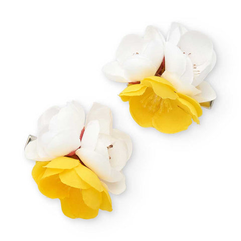 SET OF 2 HAIR CLIPS