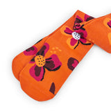 PACK 2 COLLANTS
