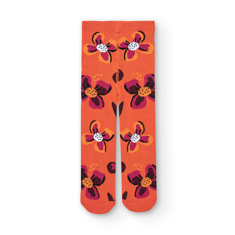 PACK 2 COLLANTS
